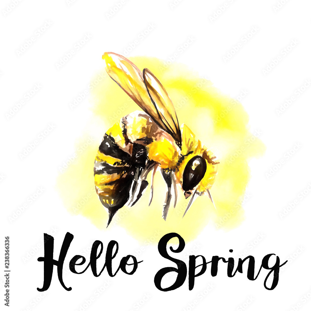 bee post card illustration bee post card illustration