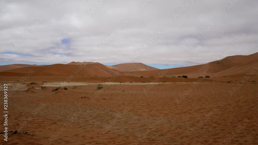 Sossusvlei in the Namib desert, Namibia Sossusvlei in the Namib desert, Namibia