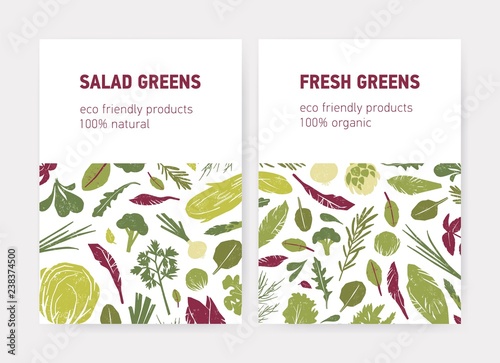 Bundle of flyer or poster templates with green vegetables  fresh salad leaves  spice herbs and place for text on white background. Flat vector illustration for eco friendly products advertisement.