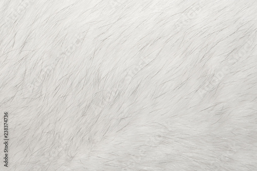 Natural animal fur background texture. white arctic (polar) fox wool close-up