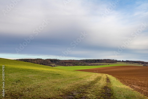 Autumn countryside with field, forest and blue sky
