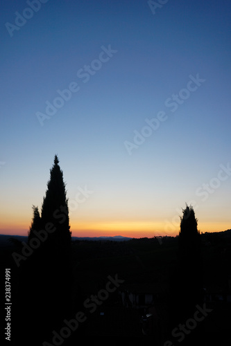 silhouette of trees at sunset