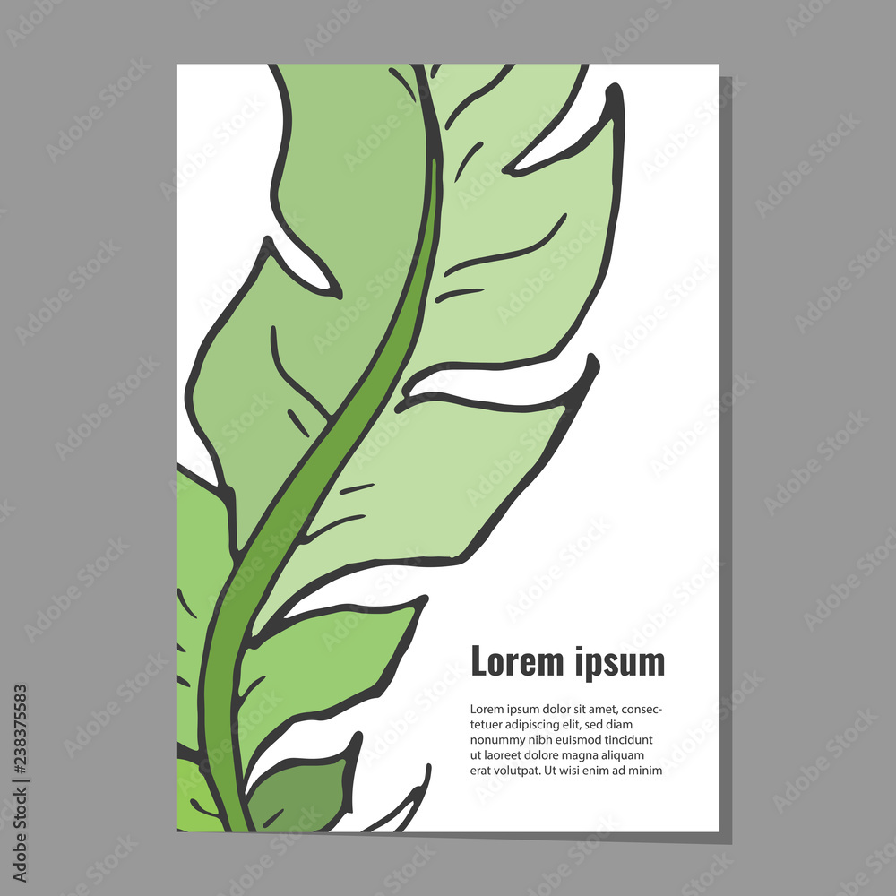 Card template with decorative green feather for poster, flyer, banner invitations