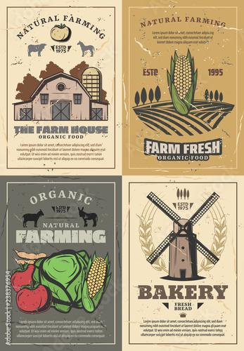 Farming farm barn, field, vegetables and animals