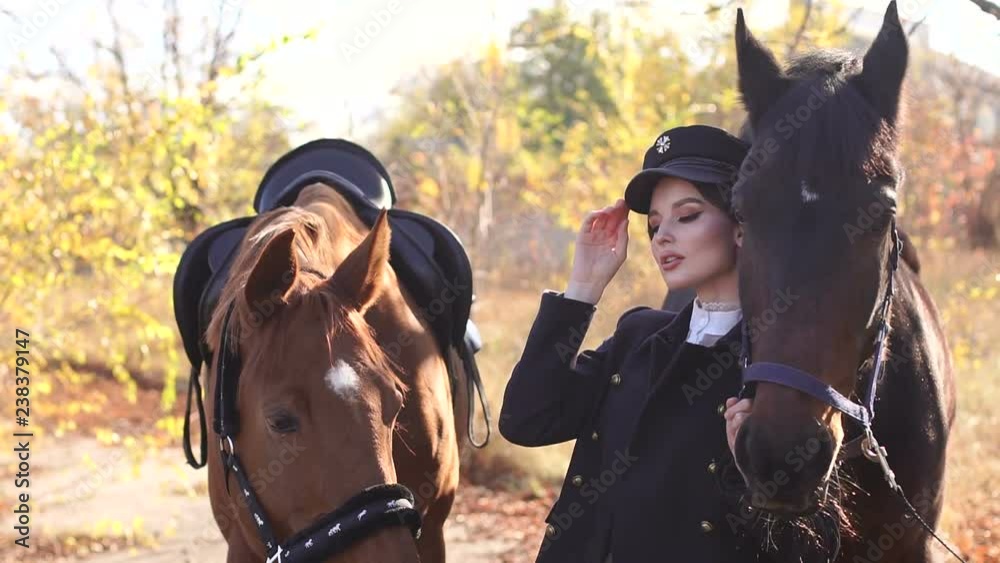 A beautiful girl leads two beautiful horses behind the reins in the rays of the autumn sun. Young woman with her two horse. A beautiful girl leads two beautiful horses behind the reins in the rays of the autumn sun. Young woman with her two horse.