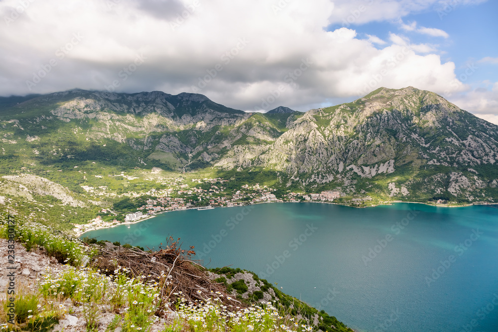 View of Kotor Bay and the mountains that surround it. Montenegro, Unesco heritage. the mountainside is covered with daisies in the foreground