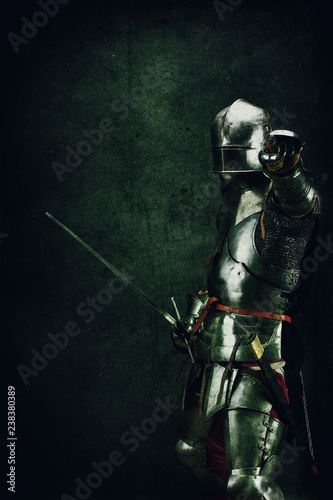 Portrait of a knight in armor Fototapeta