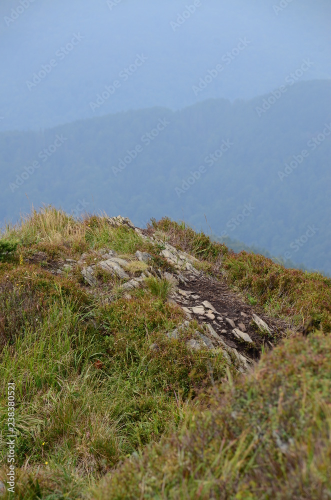 Bieszczady Smerek Bieszczady Smerek