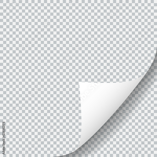 Transparent paper sheet with lower curled corner. Realistic transparent shadow. Vector design illustration
