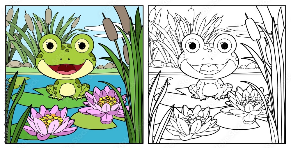 Fototapeta premium Śliczna żaba siedzi na liściu lilii i zarysował liniowy rysunek do kolorowania na białym tle