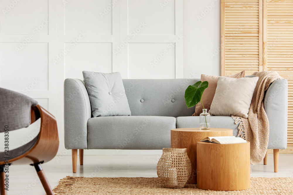 Φωτογραφία Stylish living room with grey couch, wooden furniture and white wall
