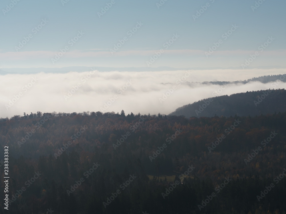Nebel über Wald 3