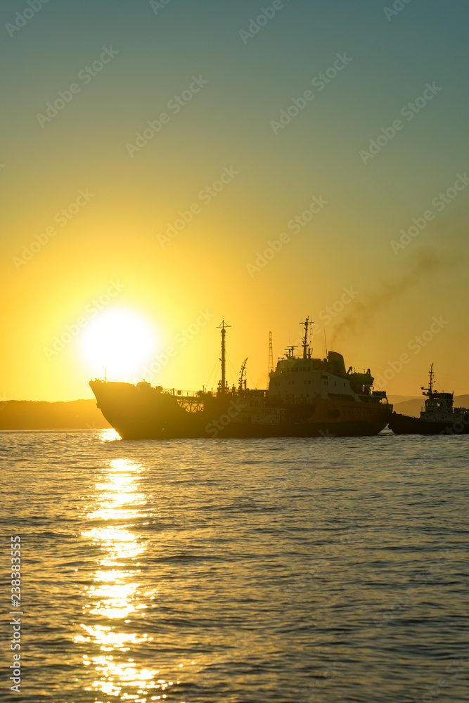 Seascape with ships against the evening sky