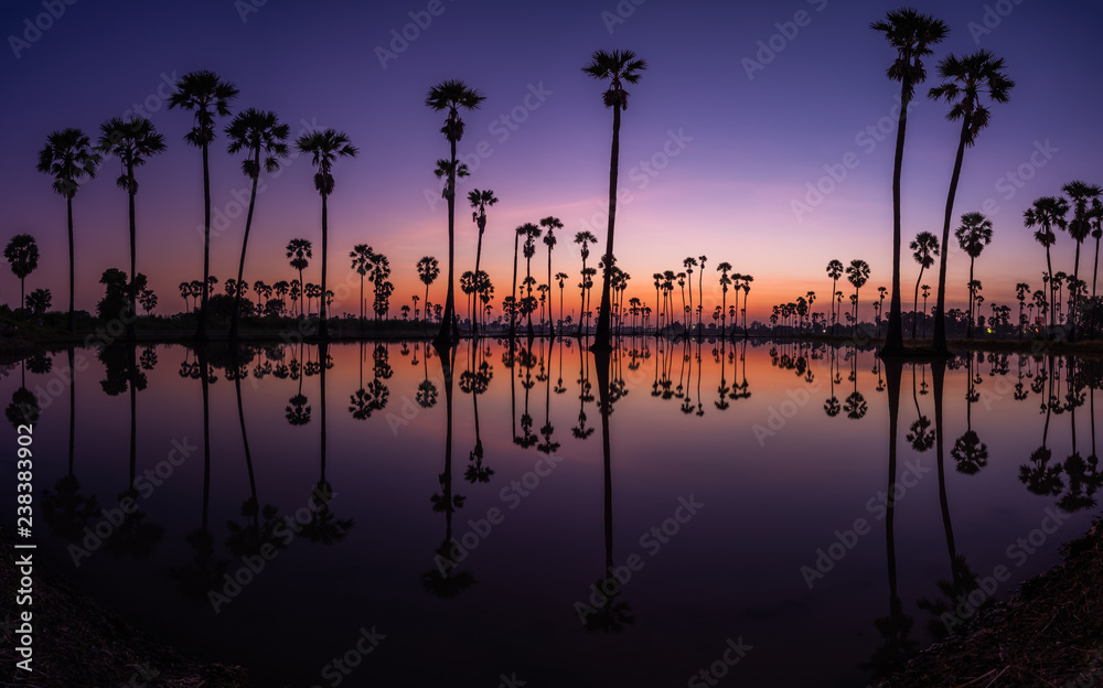 Silhouette Of Palmyra Palm Field Reflection On The Water At Pathum Thani Province Thailand Stock Photo Adobe Stock