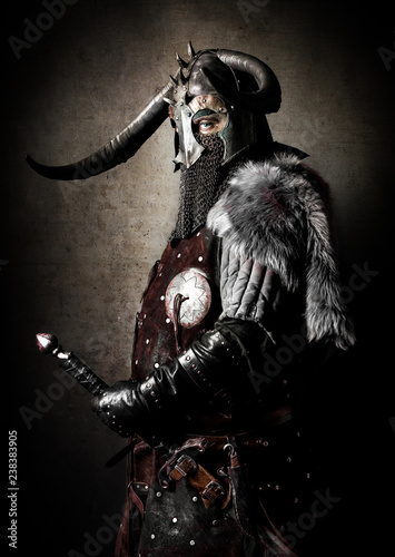 Portrait of a Viking