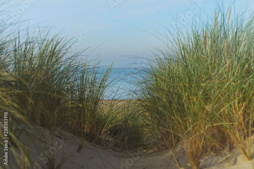 Fototapeta Naklejka Na Ścianę i Meble -  Sand dunes with green grass