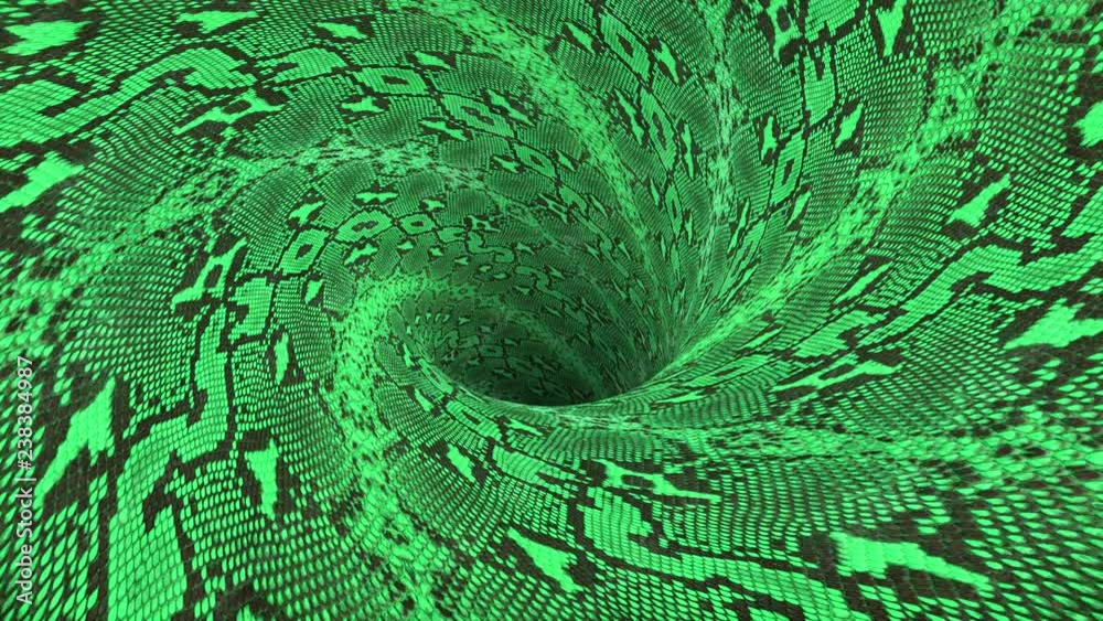 Snake Skin Animation snakeskin wormhole funnel tunnel flight seamless loop animation ...