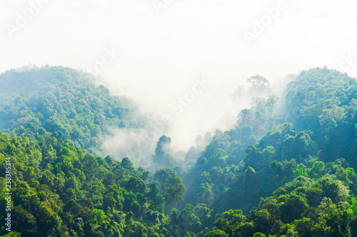 Beautiful sea of mist with forest in the winter season of Thailand