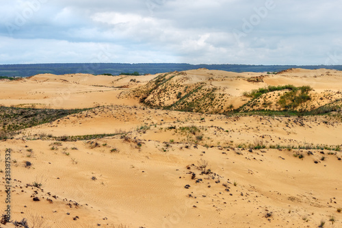 The sandy desert with poor dry vegetations and cloudy stormy sky. Rostov-on-Don region, Russia