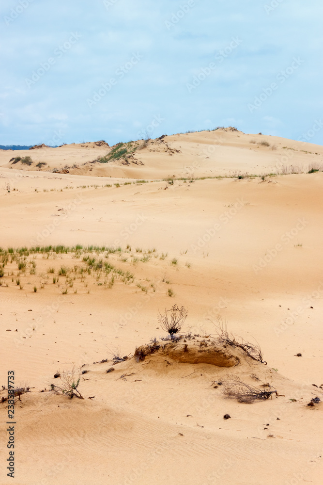 The view of the sandy desert land with the poor dry vegetation on small hills
