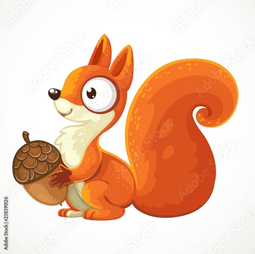Cute squirrel cartoon holding an acorn in her paws isolated on white background