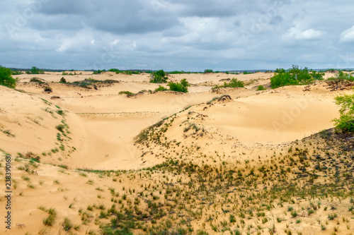 The cloudy landscape with the poor sandy desert vegetation. Rostov-on-Don region, Russia