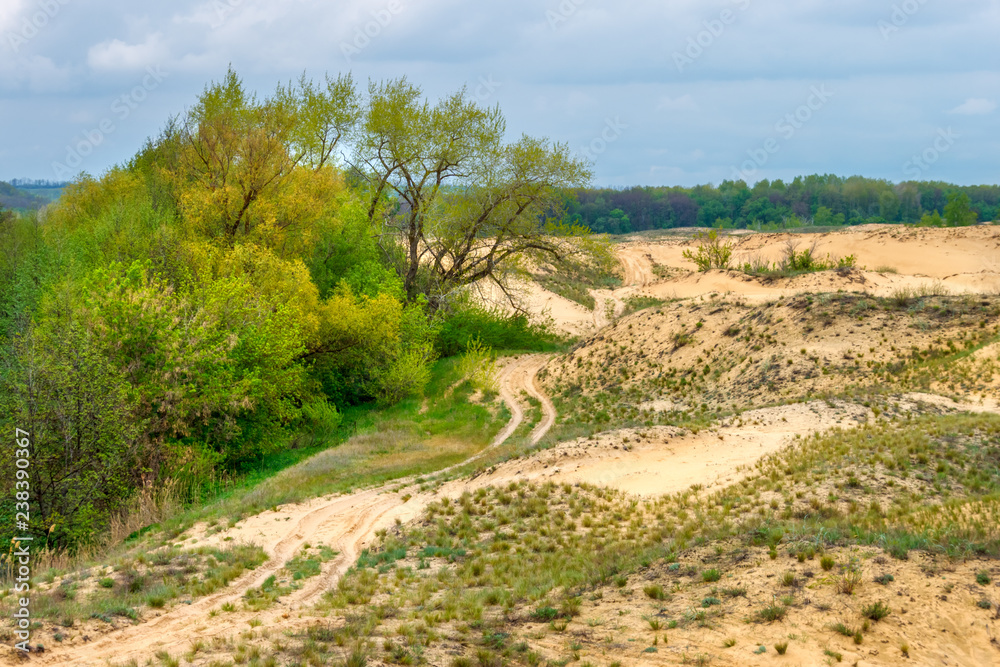 The cloudy landscape with the green forest, sandy desert and rural ground road between them. Rostov-on-Don region, Russia