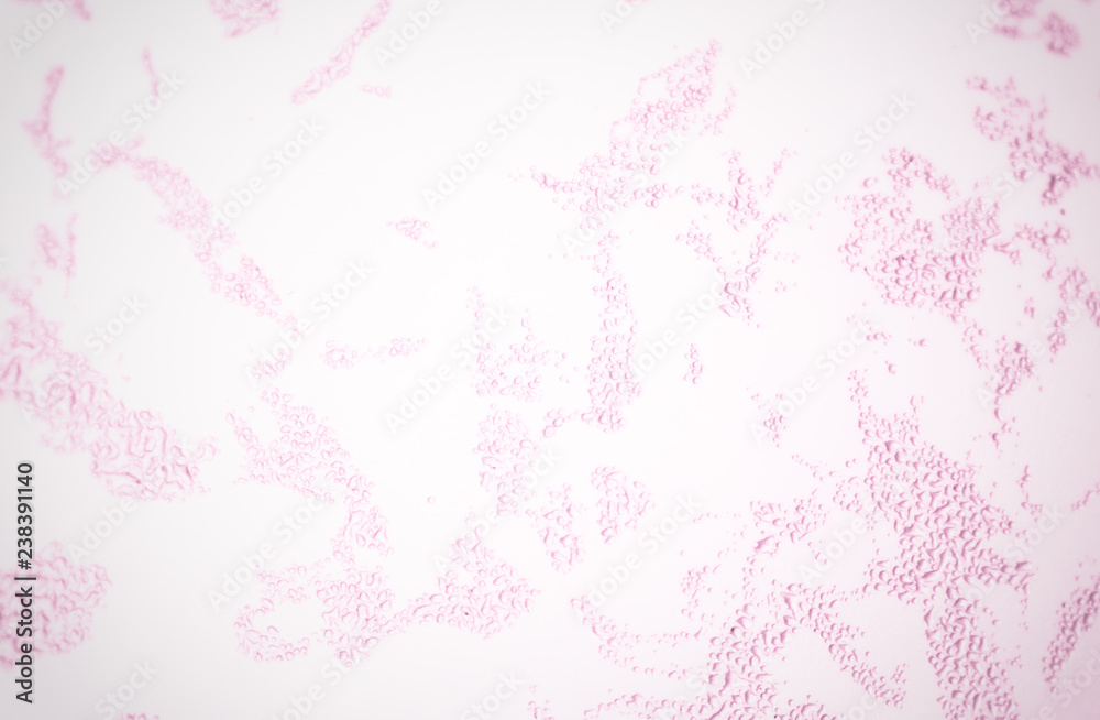 Beautiful pink pastel seamless texture background. Beautiful pink pastel seamless texture background.