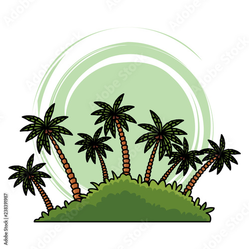 island palm tree © Jemastock