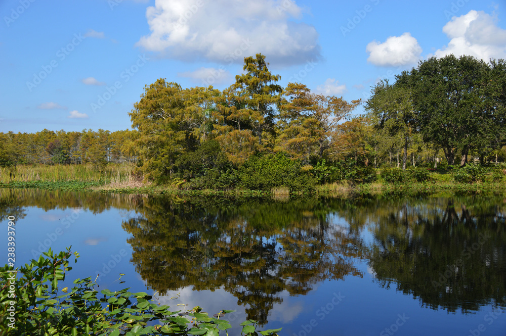 Everglades Landscape Everglades Landscape