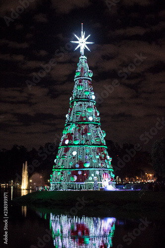 Lago do Ibirapuera - Arvore de Natal