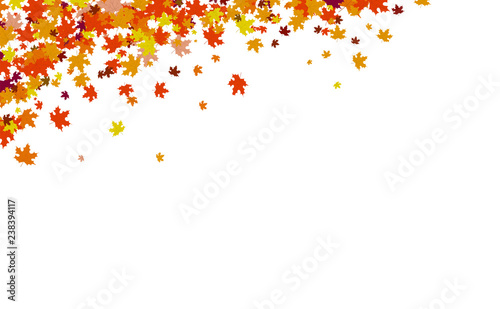 Autumn background, thanksgiving concept, maple leaves scatter cluster in nature vector illustration