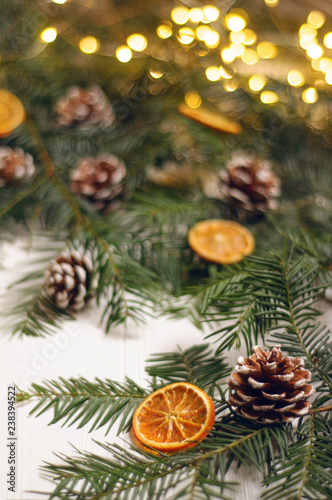 Christmas composition. Spruce branches with cones and orange on a white background. Gold garland