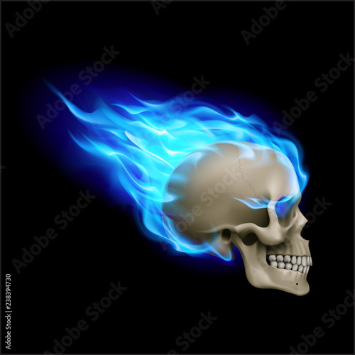 Skull on Fire