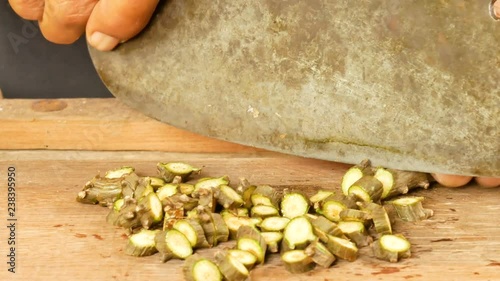 Tinospora cordifolia