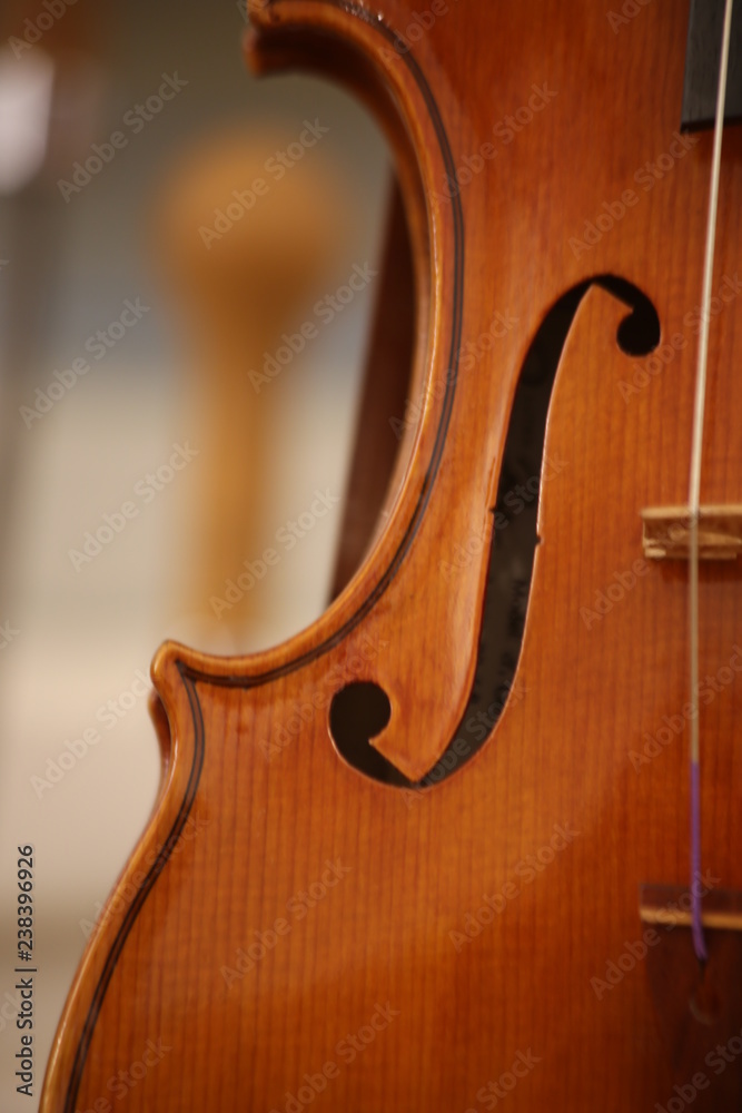 Violin detail with strings .Selective focus, blurred background. Violin detail with strings .Selective focus, blurred background.
