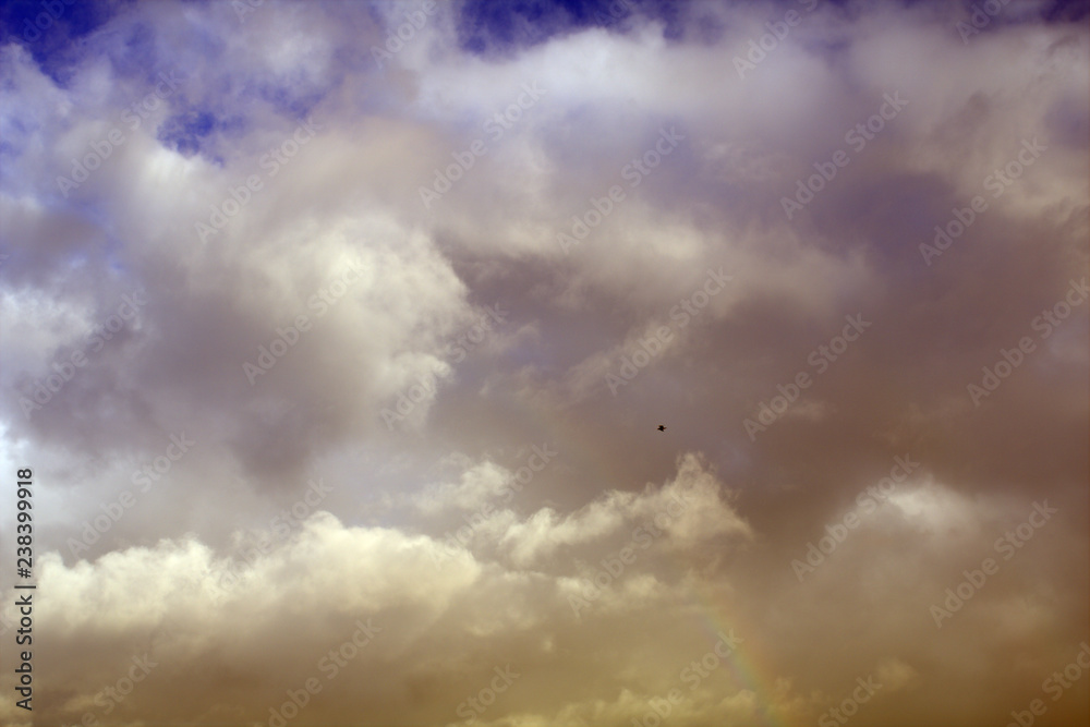sky with clouds,seagull,weather,cloud, nature, storm,sunlight,dramatic, cloudy,atmosphere,beautiful sky with clouds,seagull,weather,cloud, nature, storm,sunlight,dramatic, cloudy,atmosphere,beautiful