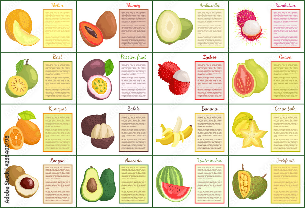 Melon and Mamey Avocado Lychee Posters Set Vector