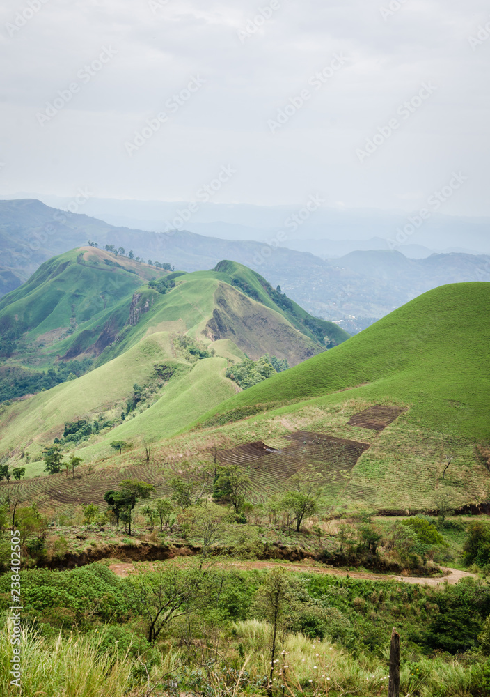 Rolling fertile hills with fields and crops on Ring Road of Cameroon, Africa.