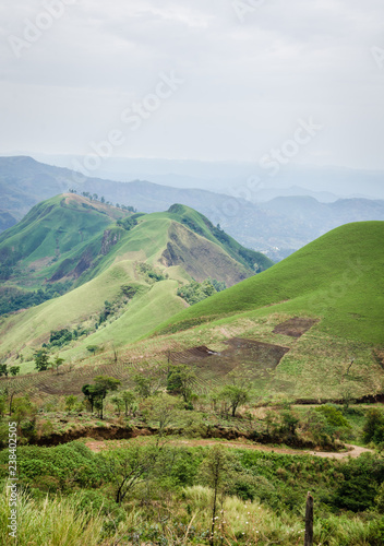 Rolling fertile hills with fields and crops on Ring Road of Cameroon, Africa.