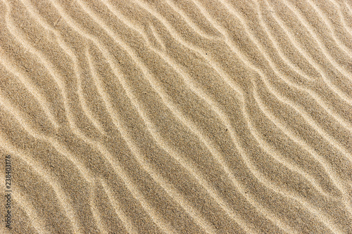 Fototapeta Naklejka Na Ścianę i Meble -  Sand on the beach. Sandy beach for background