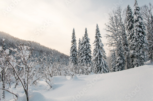 Winter hike in the reserve "Kuznetsky Alatau" © photobyalex