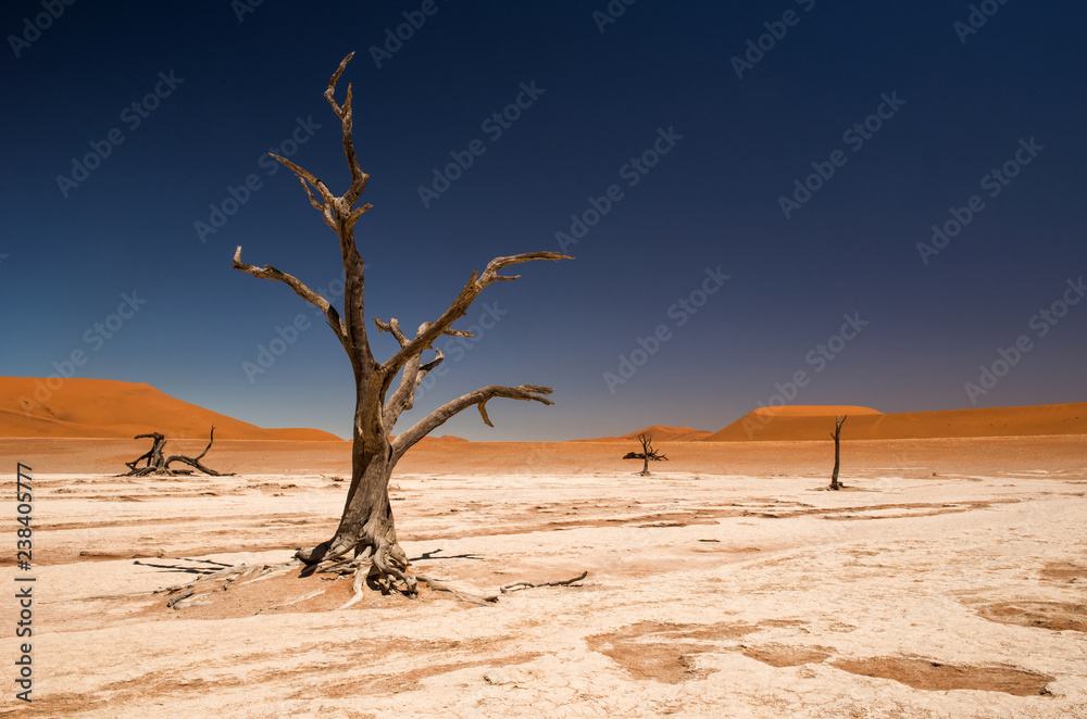 Deadvlei, Namibia