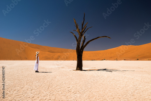 Wallpaper Mural Deadvlei, Namibia Torontodigital.ca