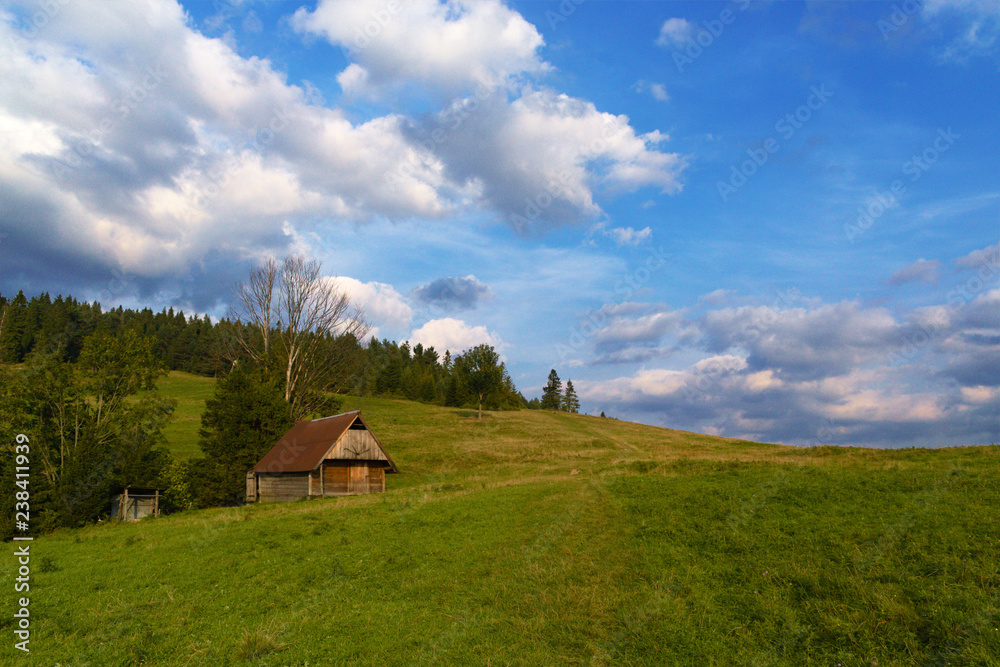 Green hills, wooden bothy, clouds and blue sky, Pieniny, Poland