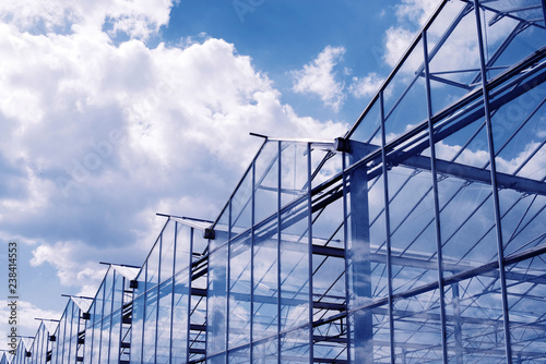 greenhouse in Hungary and summer sky