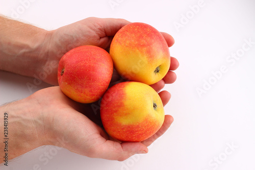 Hands holding red apples on a white background photo