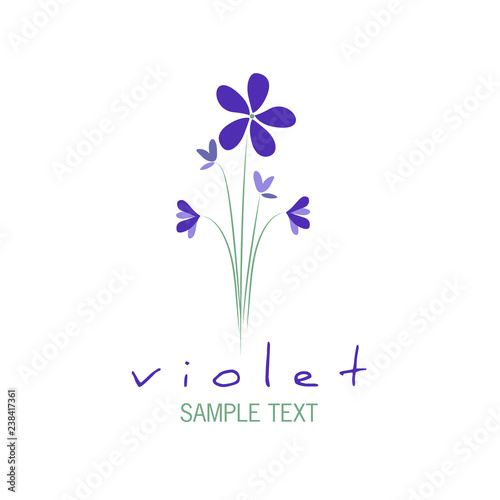 Bouquet of wild violets isolated on white background.