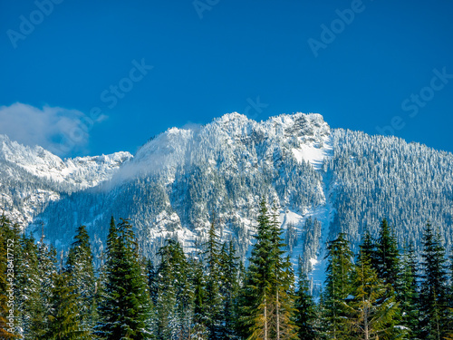mountain forest with snow