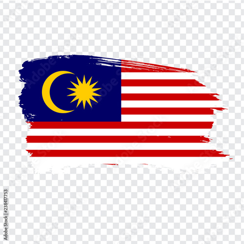Flag  Malaysia from brush strokes.  Flag Malaysia on transparent background. Stock vector. Vector illustration EPS10.